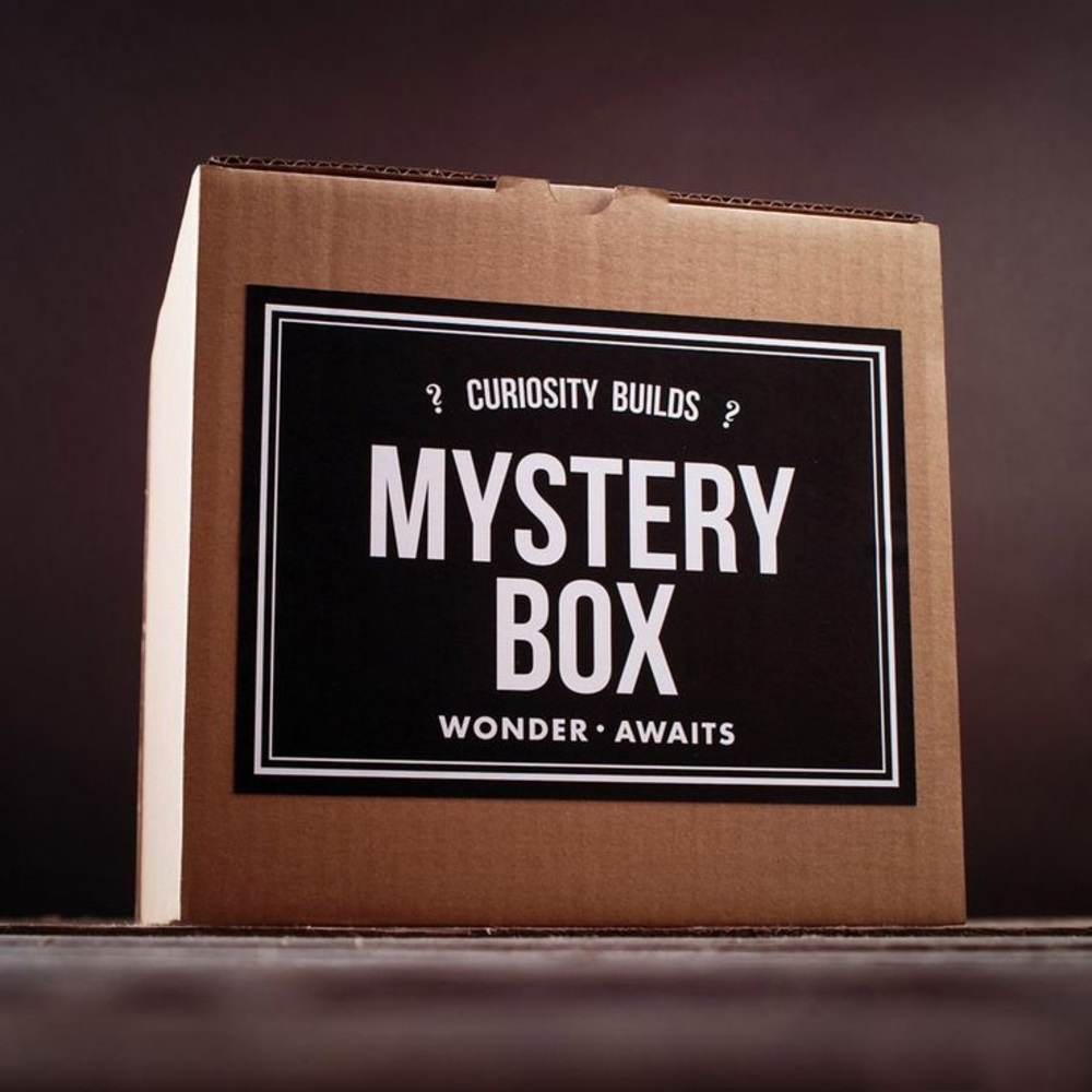 MYSTERY OF ALL MYSTERY BOXES 2 PAIRS PRICELESS SNK